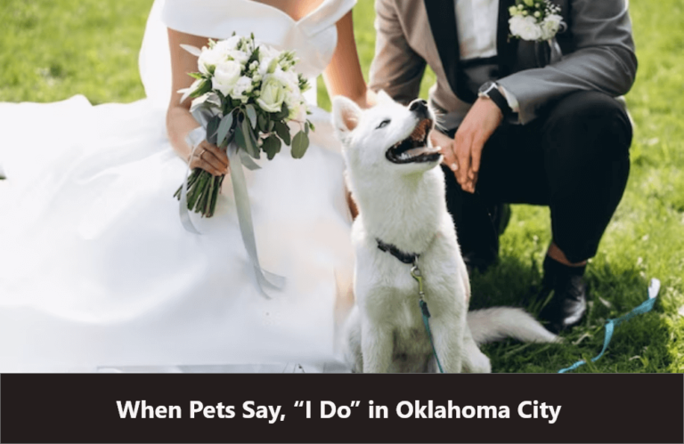 When Pets Say, “I Do” in Oklahoma City