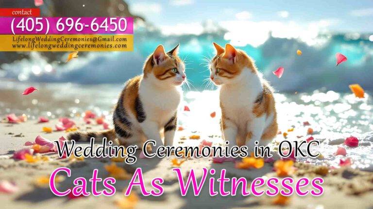 Cats as Witnesses