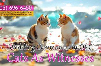 Cats as Witnesses