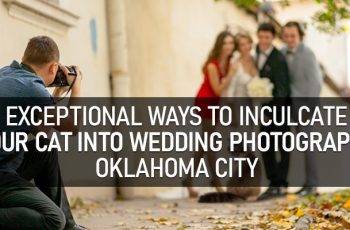 Cat into Wedding Photography Oklahoma City