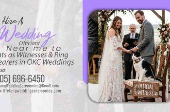 Cats as Witnesses & Ring Bearer