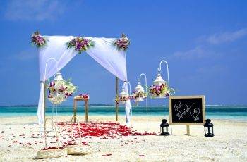 Locate a Wedding Officiant to Have a Sexy Beach
