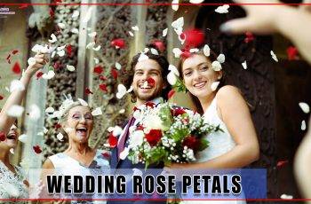 Wedding rose petals