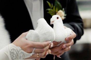 The Secret of Choosing the Right Wedding Officiant